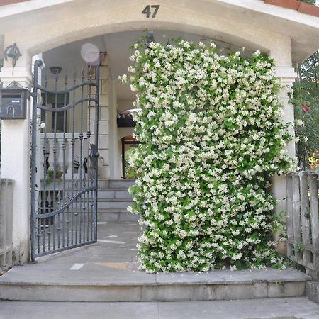 Apartmaji Stamcar Izola Exterior foto